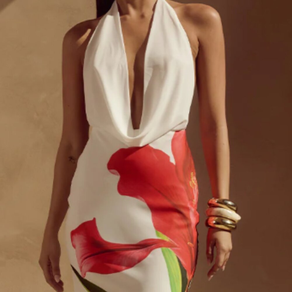 Jasmina Maxi Dress - Red Lily - Runaway The Label - Size Small